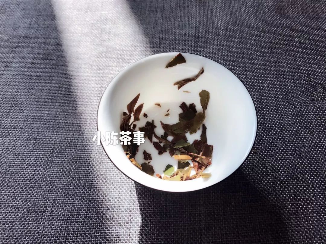 六种茶叶入门方法,茶叶叶底的秘密