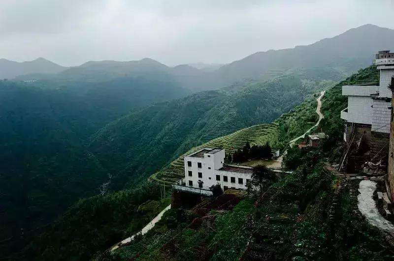 厦门岛内变化,2020厦门的变化