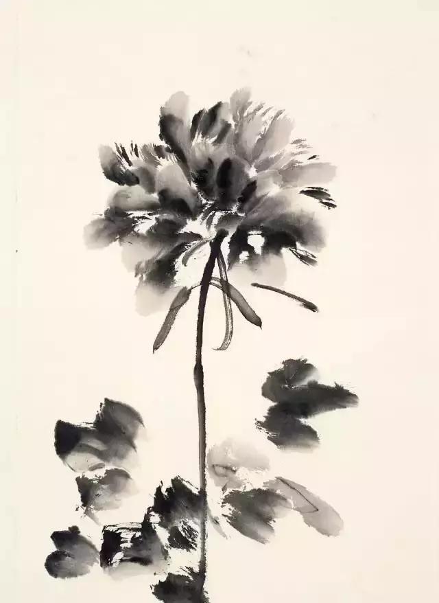 果果小写意牡丹画法教学视频,王绣写意牡丹画法零基础视频