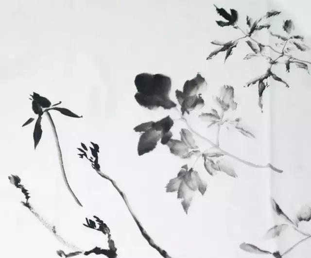 果果小写意牡丹画法教学视频,王绣写意牡丹画法零基础视频