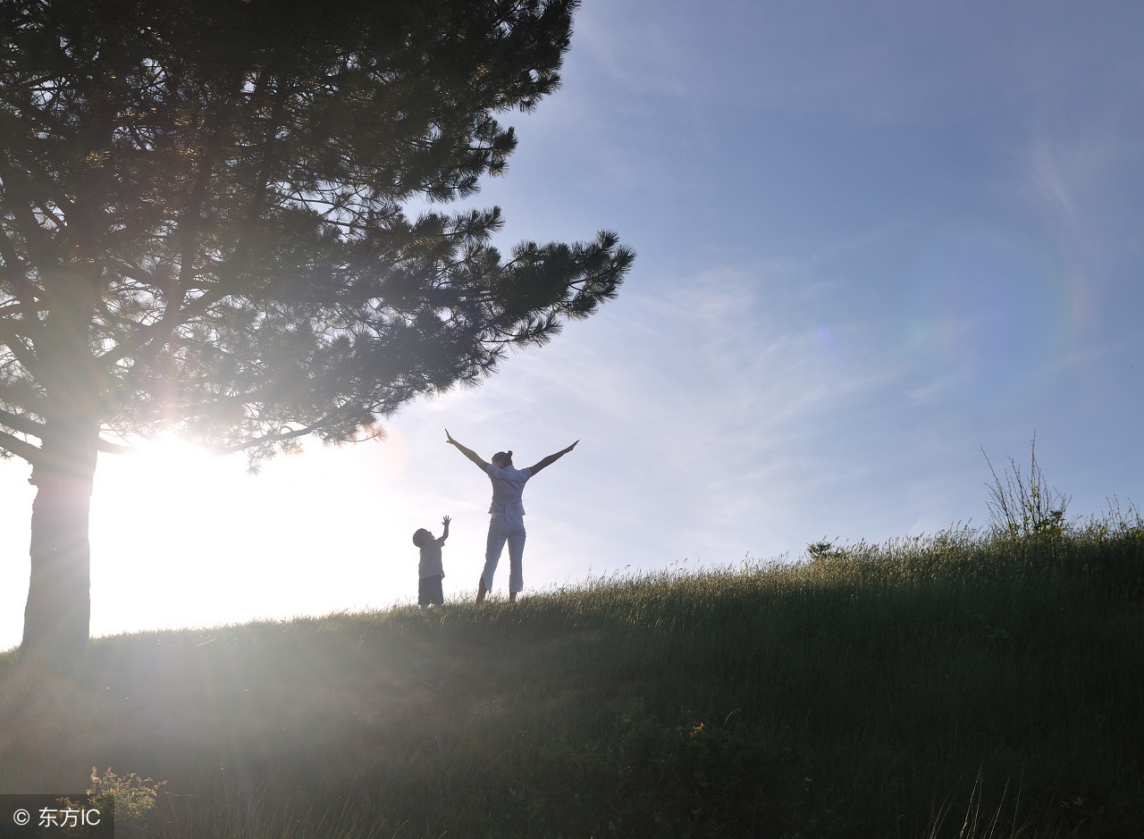 年度十佳微小说的主题,十大最温暖的微小说