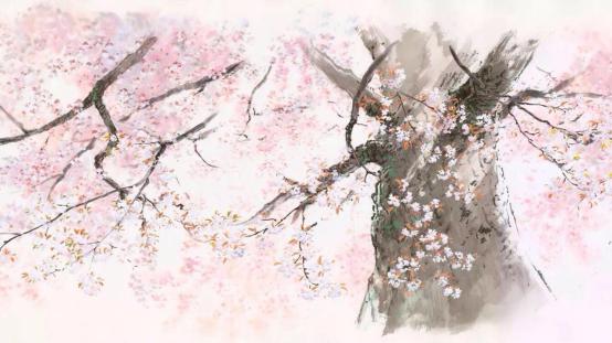 b站十大必看动画,b站有什么好看的动画