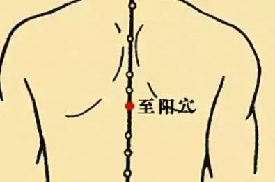 有没有什么简单又靠谱的养生方法,医生都在做的5个养生小技巧