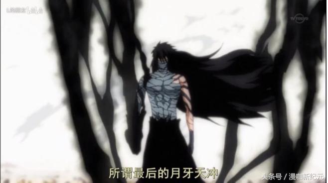 死神动漫黑崎一护的斩魄刀是虚吗,死神当中黑崎一护的斩魂刀