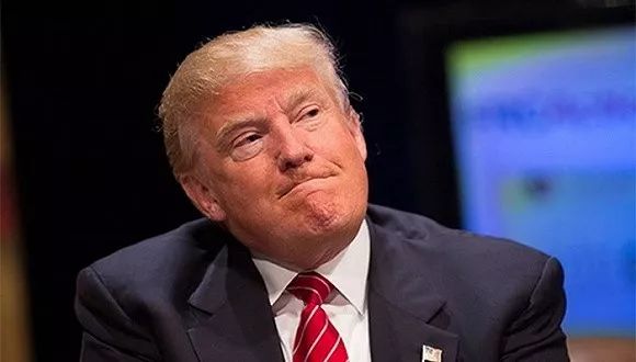 麦玲玲狗年风水方位,麦玲玲2024年家居风水运程