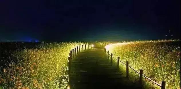 广东珠海春节最值得去的10个地方,珠海过年去哪玩汇总