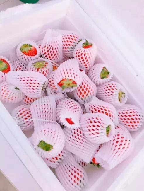 明星送媒体礼物,明星新年礼物送什么