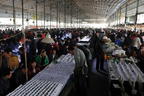 摆地摊卖的古董是真的吗,地摊上买的假古董专家鉴定是真的