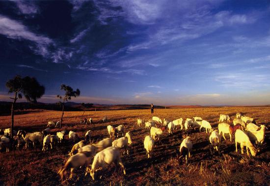 曲靖出发自驾游去哪里,曲靖出发自驾游10天