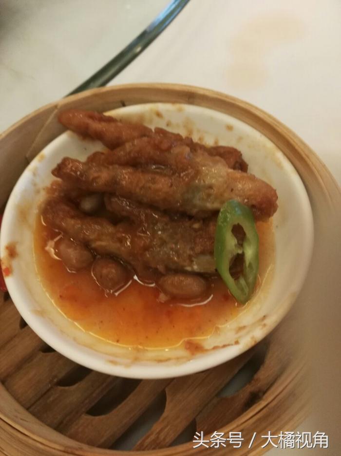 长隆野生动物园含水上乐园,长隆野生动物园大马戏飞鸟乐园