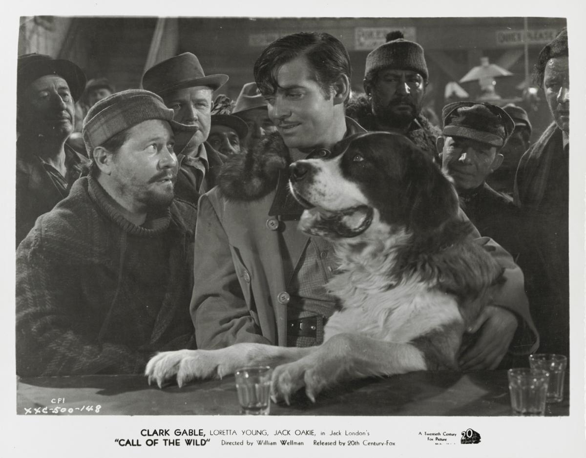 狗的前世和汪星人,属狗人的前世今生