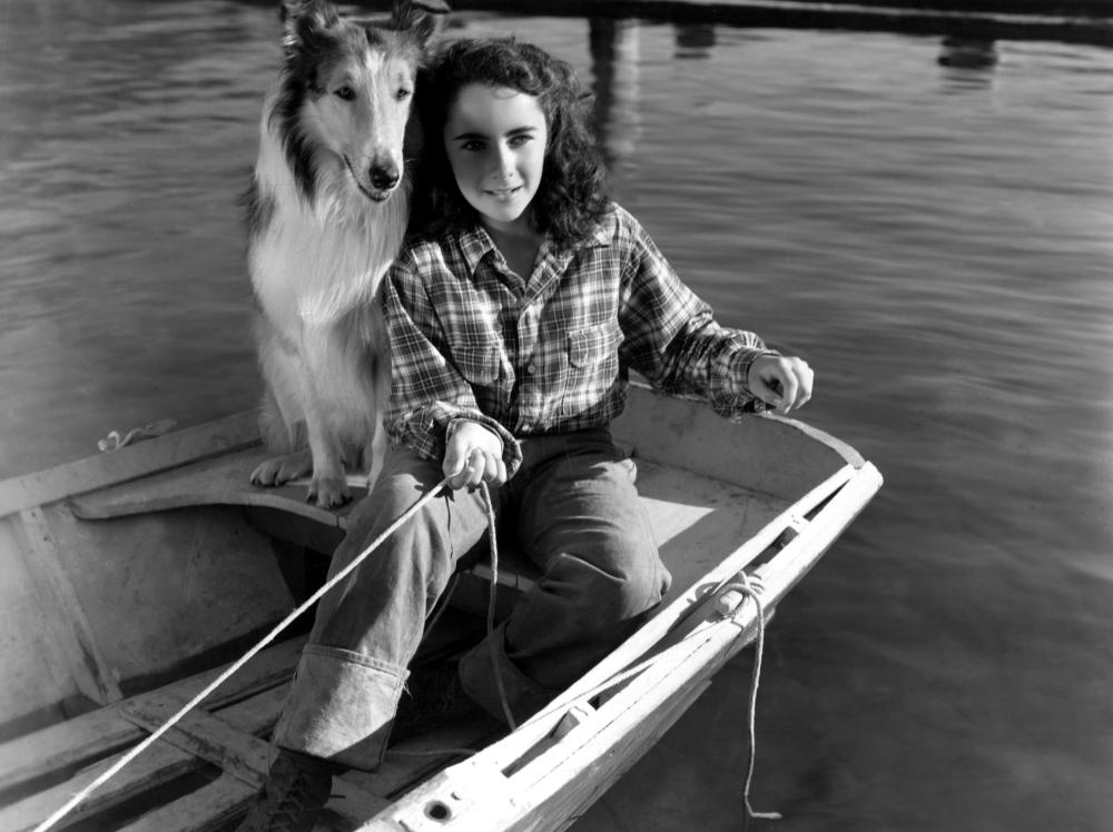 狗的前世和汪星人,属狗人的前世今生