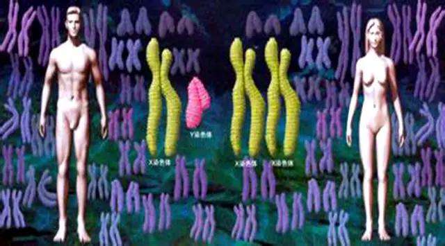 为什么大部分人不知道自己的血型,关于血型的3个常识