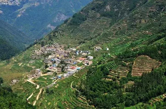 厦门岛内变化,2020厦门的变化