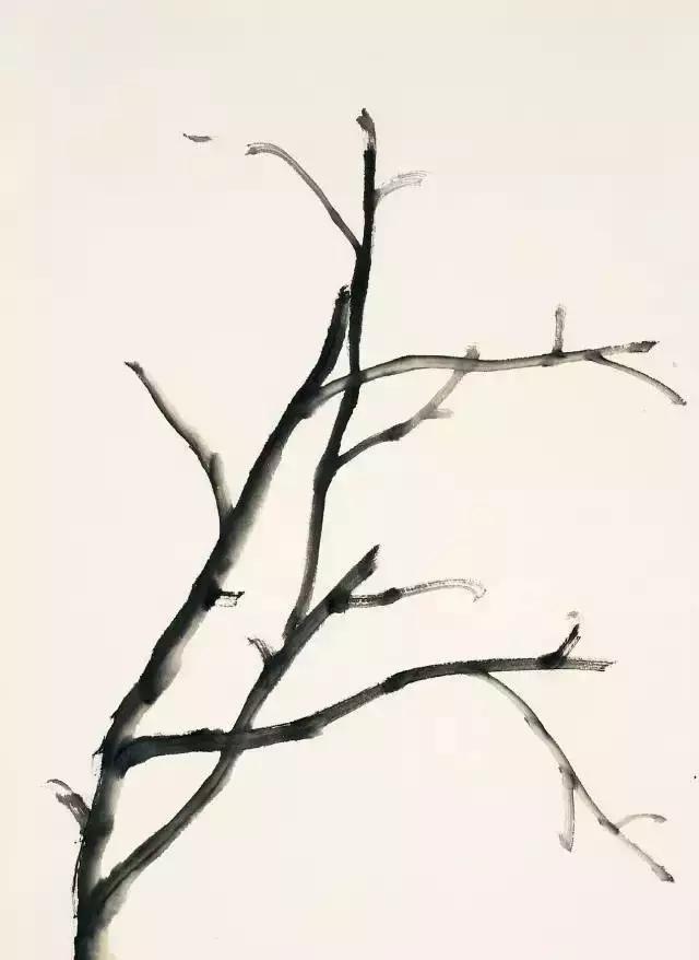 果果小写意牡丹画法教学视频,王绣写意牡丹画法零基础视频