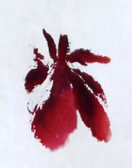 果果小写意牡丹画法教学视频,王绣写意牡丹画法零基础视频