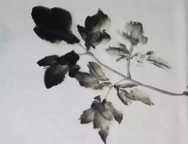 果果小写意牡丹画法教学视频,王绣写意牡丹画法零基础视频