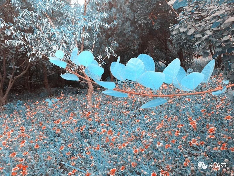 考考你的古诗词,高考常见四字成语及注解