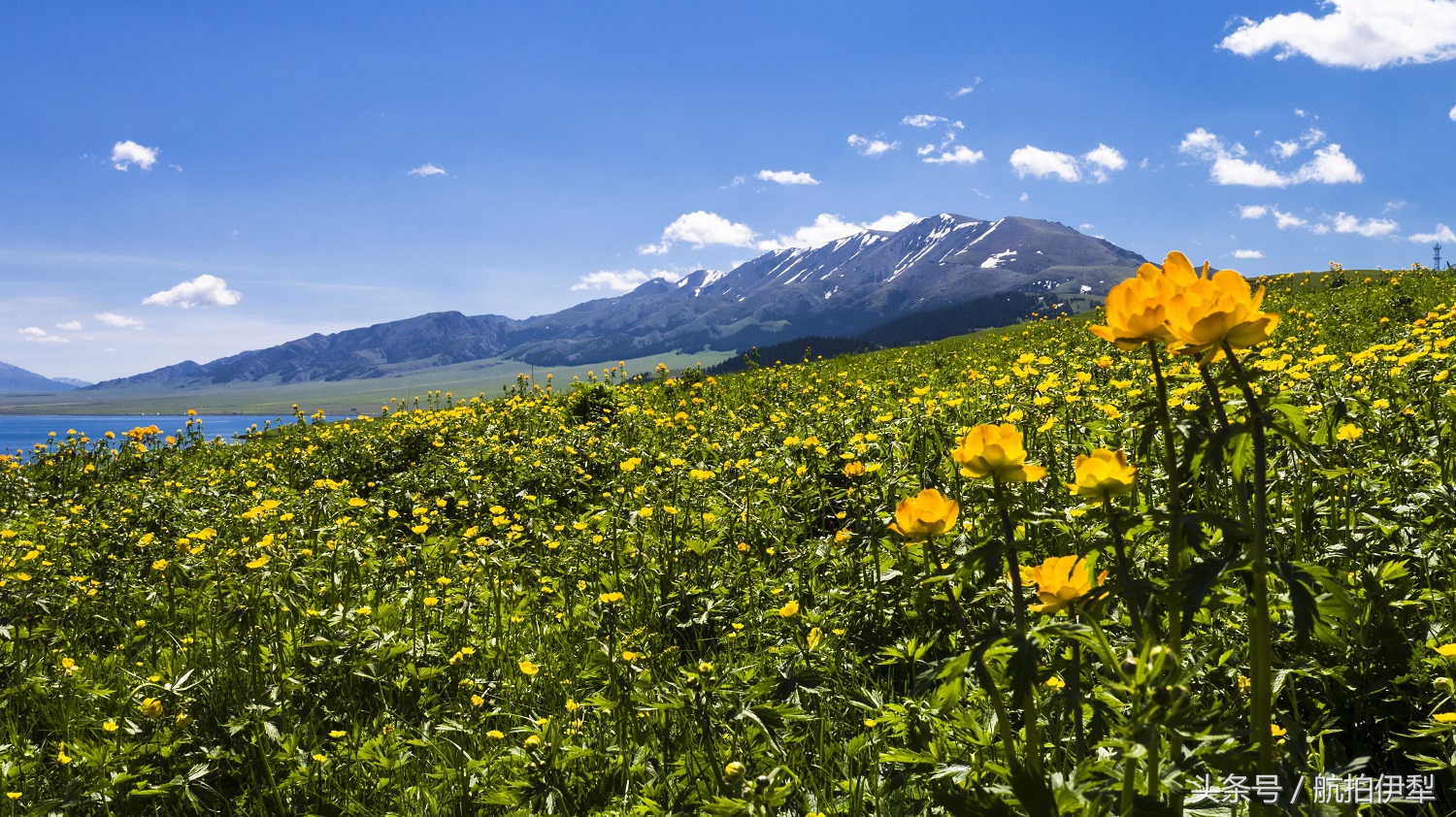 美丽的赛里木湖风景图片,赛里木湖的美景