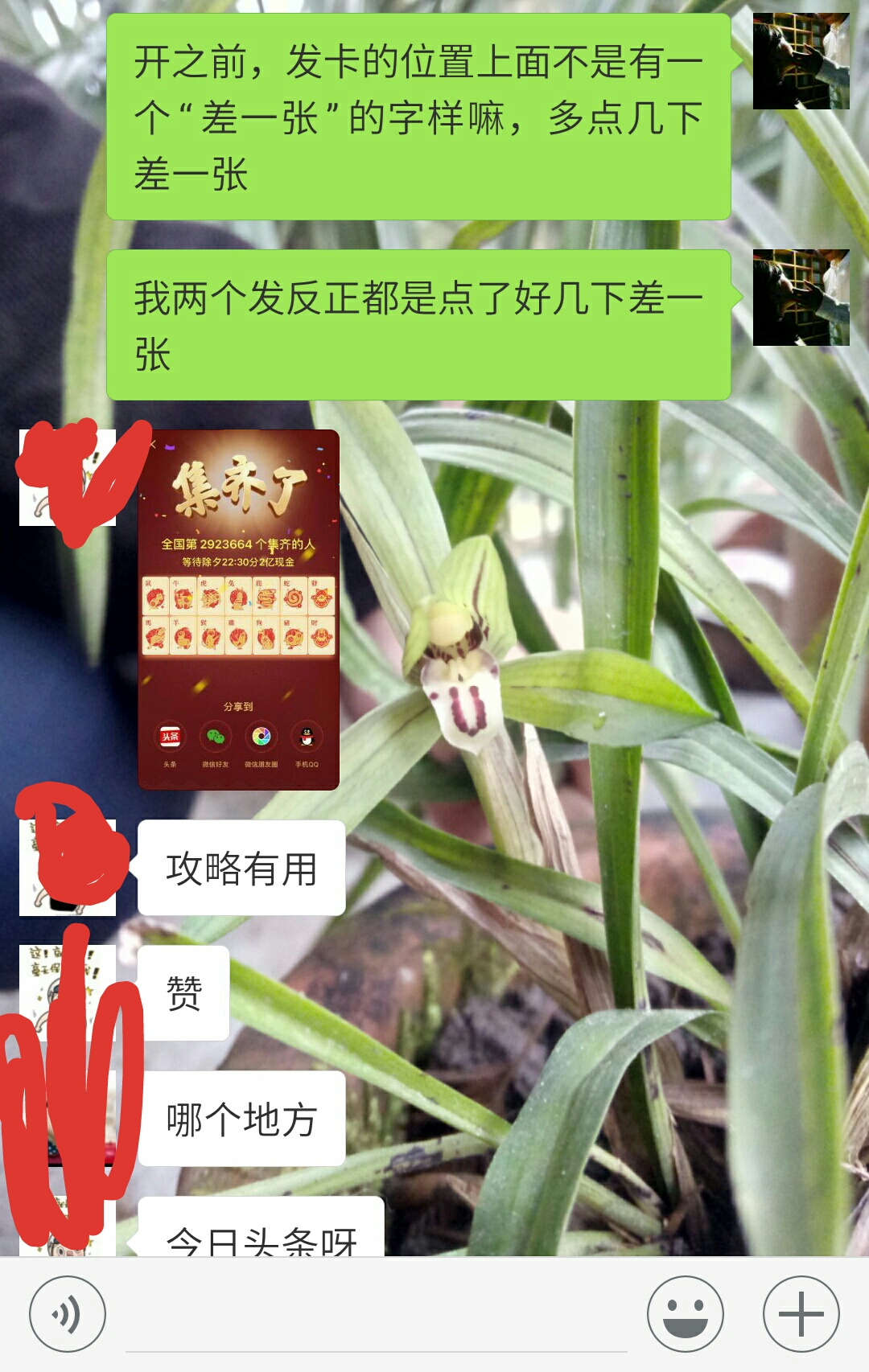 如何快速获得阿尔法狗,阿法狗是怎么获得的