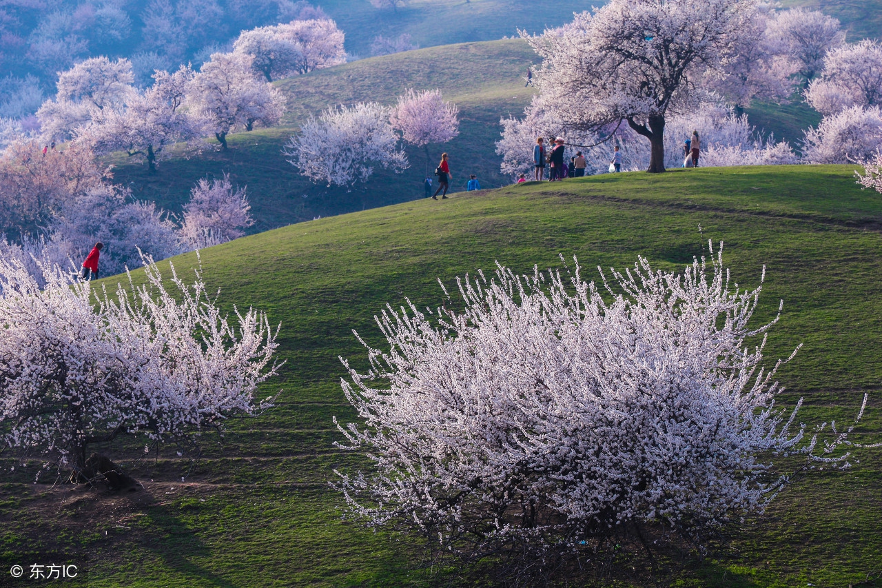 疆内有什么好景区,行疆旅游自驾