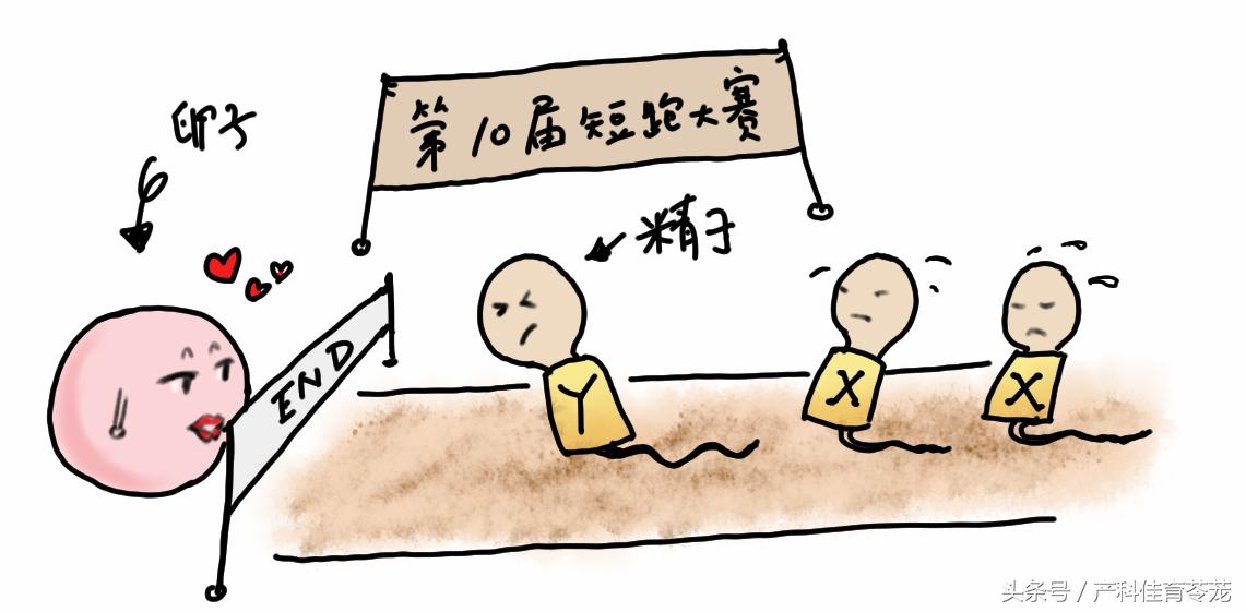 情人节送你个浪漫的礼物,情人节送你一个知心人