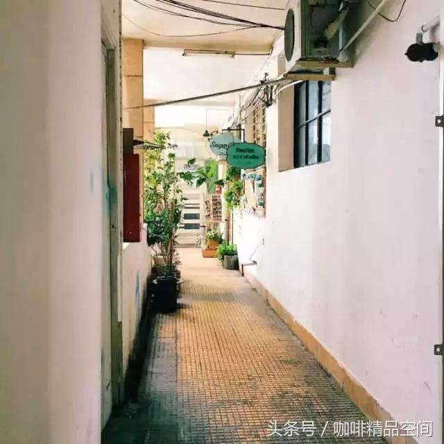 越南咖啡,越南咖啡与后谷咖啡哪个好