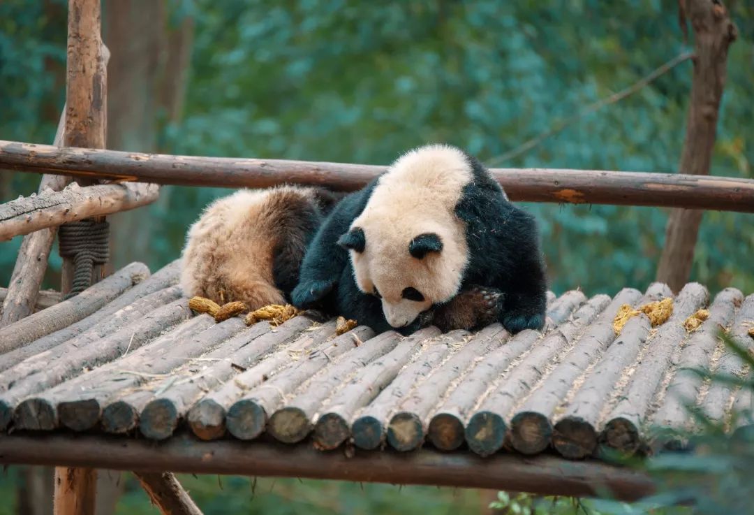 大学四年，我赚到人生第一个十万，去了十个省市，三个国家