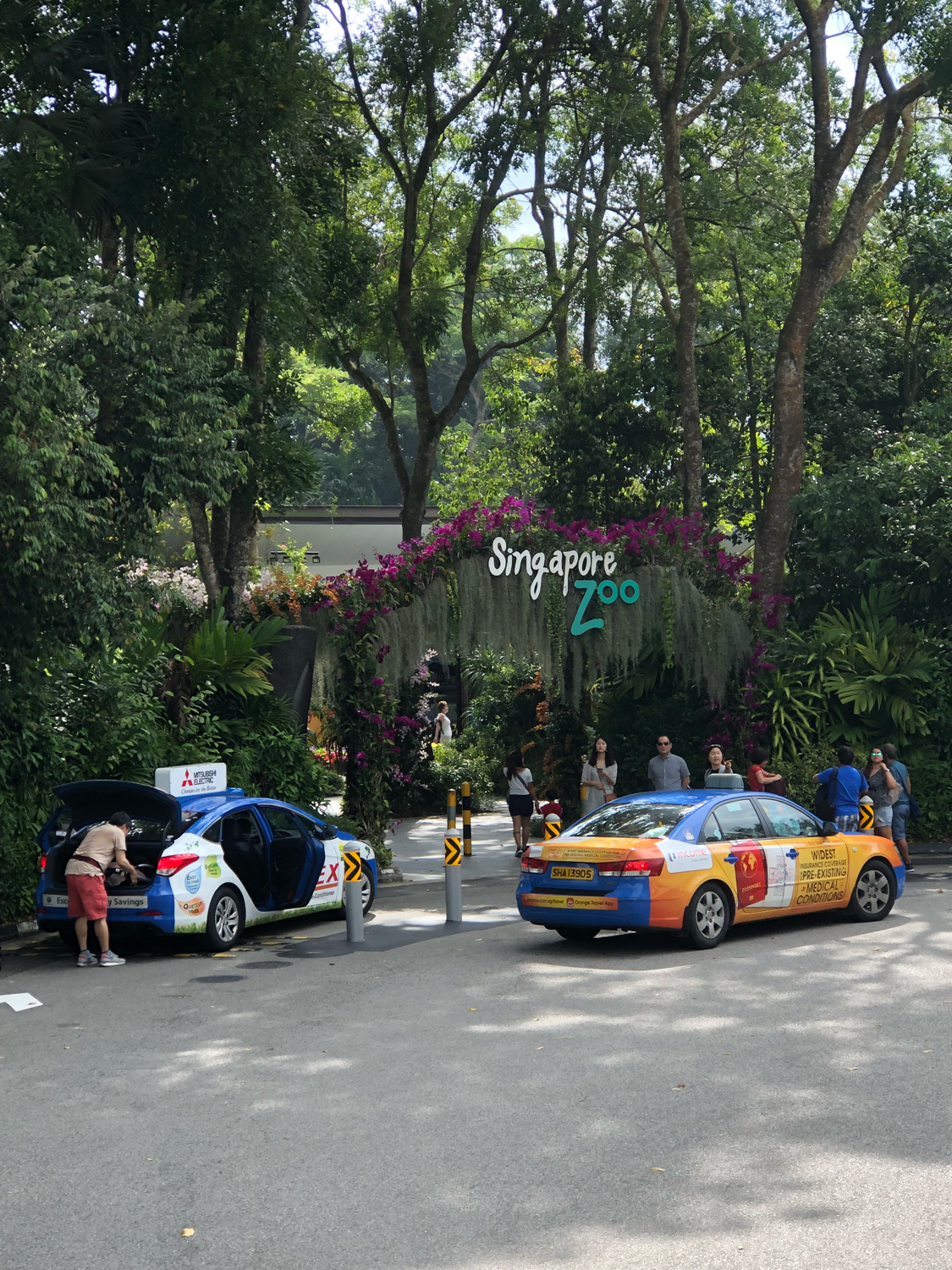 新加坡动物园哪个最值得去看,新加坡动物园自由行热门攻略