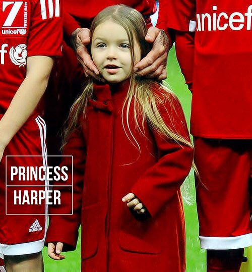 小七和贝克汉姆写毛笔,贝克汉姆小七写书法