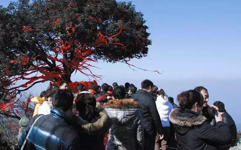 春节七天乐精彩不重样,春节7天旅游