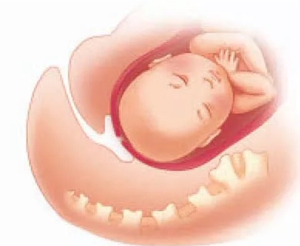 经产妇第一产程时间,准妈妈必知顺产5大良方