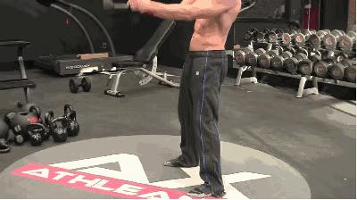 哑铃训练动作大全练全身初学者,哑铃练全身新手哑铃训练计划