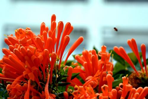 高考必背诗词重点句子,高考必考的诗句有哪些