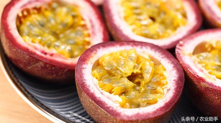 百香果发酵后做花肥料,百香果用什么肥料果多