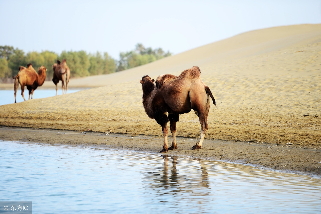 库尔勒和喀什发展前景,库尔勒和阿克苏发展前景