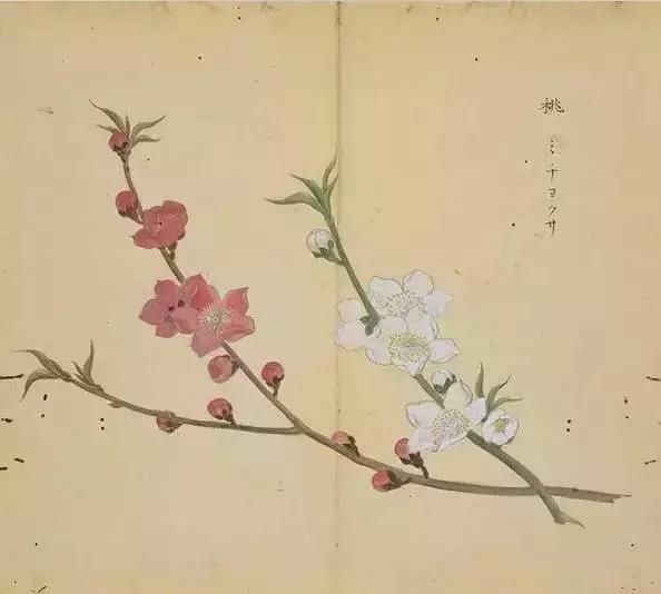 诗经中最唯美的句子爱情,诗经中的绝美句子关于爱情