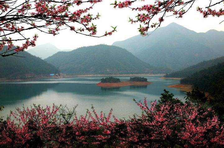 金华近期活动,金华市最新活动