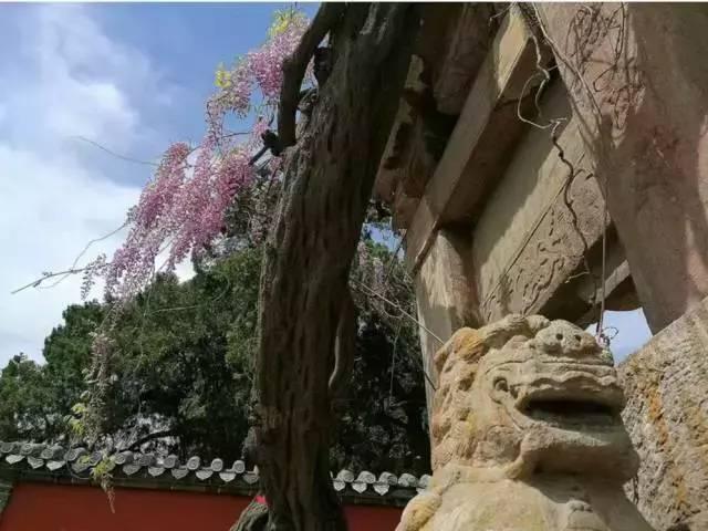 春晚四大分会场曝光,有个竟是“中国第一潜水地”!