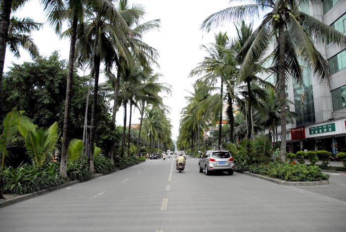 西双版纳景洪市地区简介,西双版纳傣乡纪行