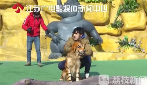 鑰佽檸鍌诲偦鍒嗕笉娓呮瑙嗛,灏忕嫍鑰佽檸鍌诲偦鍒嗕笉娓呮