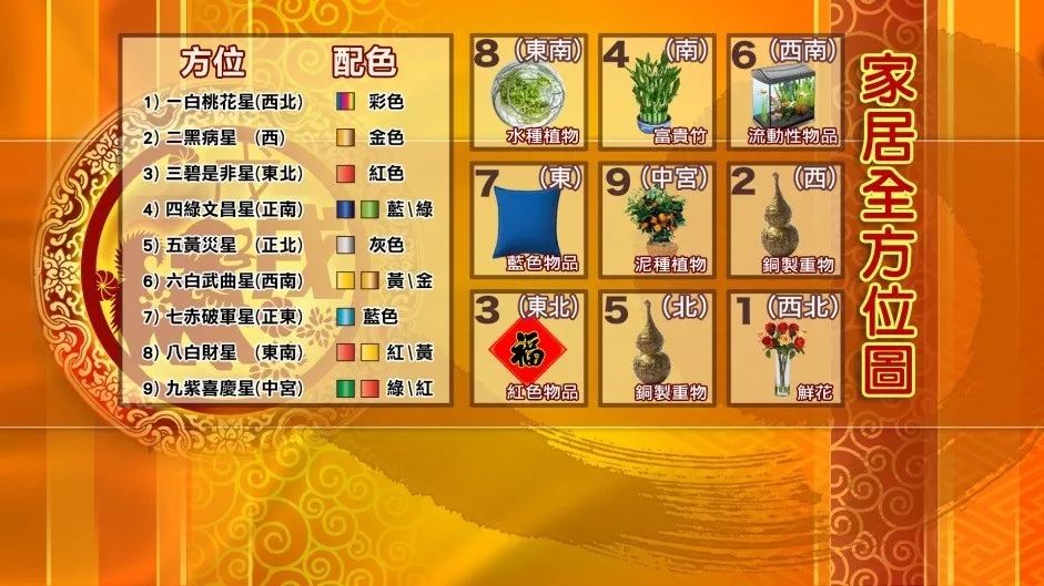 麦玲玲狗年风水方位,麦玲玲2024年家居风水运程