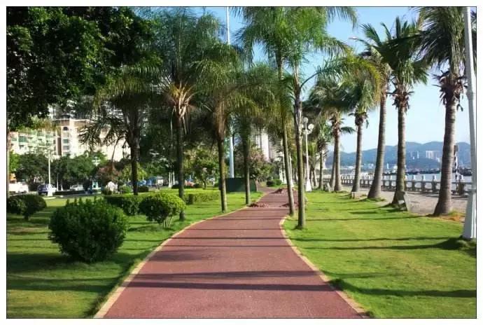 广东珠海春节最值得去的10个地方,珠海过年去哪玩汇总