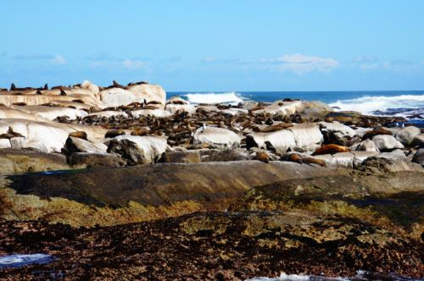 最红色的春晚,红色主题央视春晚