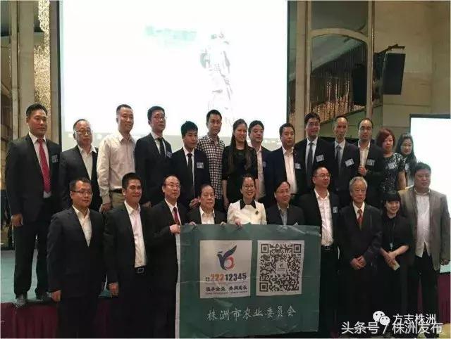 攸县十大名菜攸县香干,株洲攸县最有名的十道菜