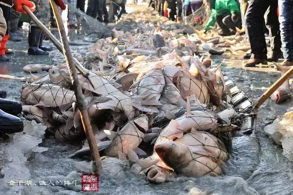 冬季吉林三天旅游攻略,2023冰雪旅游攻略