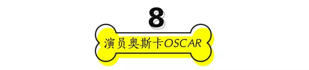 成都的十条网红狗,有的住豪宅穿名牌,比人活得还巴适