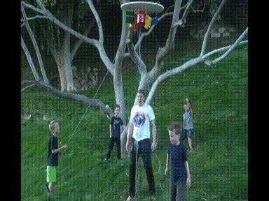 2019火星人马斯克,火星人马斯克最新消息