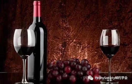 杯酒人生红酒品鉴,杯酒人生品味生活
