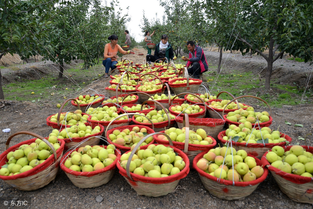库尔勒和喀什发展前景,库尔勒和阿克苏发展前景